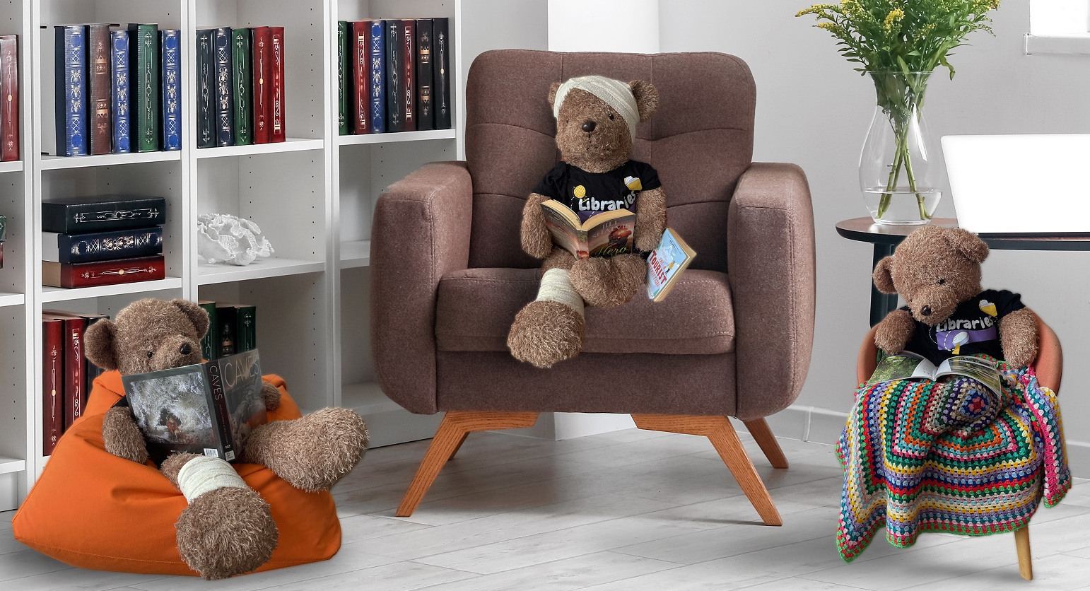 bears in house with illness